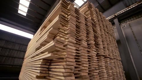 探訪瑞典木材加工廠 揭秘高品質(zhì)“地友木方”的北歐源頭