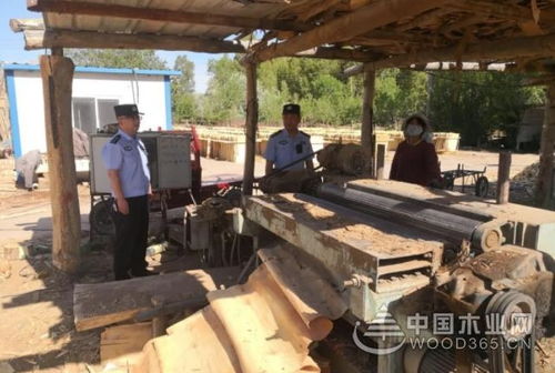 臨澤縣板橋派出所深入轄區(qū)木材加工廠開(kāi)展安全隱患專項(xiàng)檢查